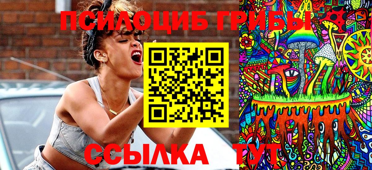 Псилоцибиновые грибы Cubensis Кострома
